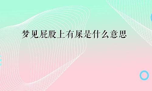 梦见屁股上有屎是什么意思