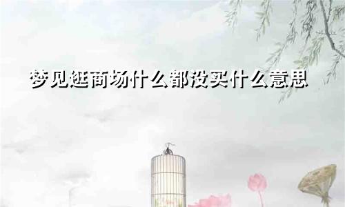 梦见逛商场什么都没买什么意思