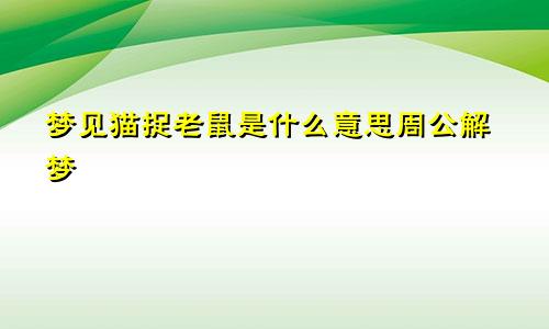 梦见猫捉老鼠是什么意思周公解梦