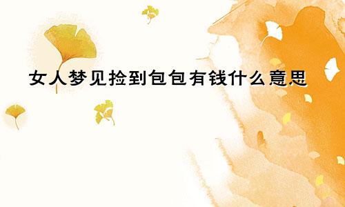 女人梦见捡到包包有钱什么意思