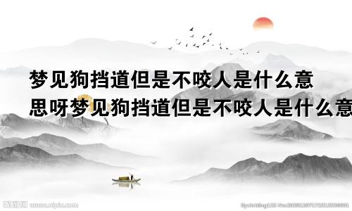 梦见狗挡道但是不咬人是什么意思呀梦见狗挡道但是不咬人是什么意思呢