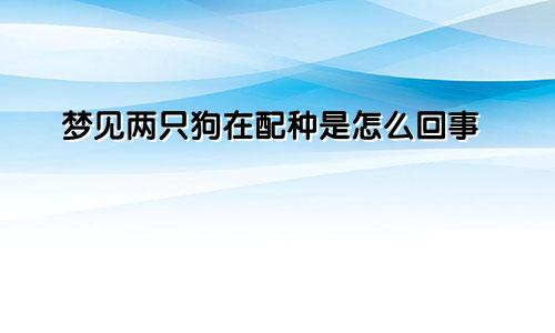 梦见两只狗在配种是怎么回事