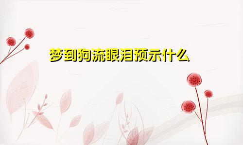 梦到狗流眼泪预示什么