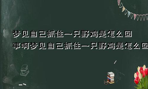 梦见自己抓住一只野鸡是怎么回事啊梦见自己抓住一只野鸡是怎么回事儿