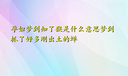 孕妇梦到知了猴是什么意思梦到抓了好多刚出土的蝉