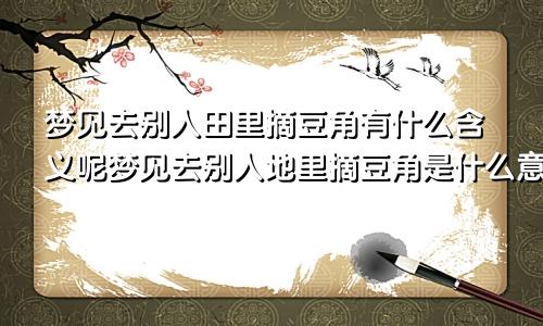 梦见去别人田里摘豆角有什么含义呢梦见去别人地里摘豆角是什么意思