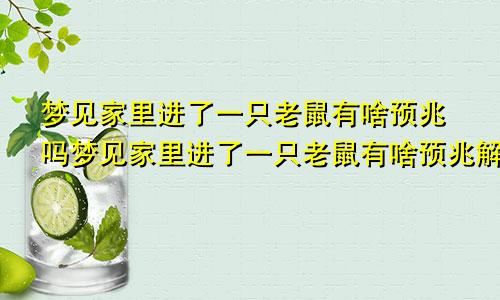 梦见家里进了一只老鼠有啥预兆吗梦见家里进了一只老鼠有啥预兆解梦