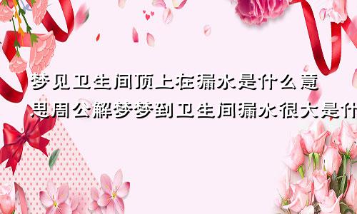 梦见卫生间顶上在漏水是什么意思周公解梦梦到卫生间漏水很大是什么征兆