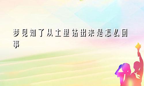 梦见知了从土里钻出来是怎么回事