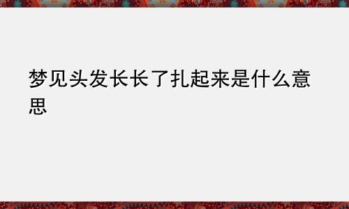 梦见头发长长了扎起来是什么意思