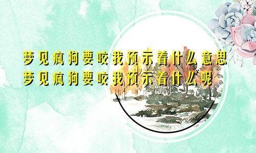 梦见疯狗要咬我预示着什么意思梦见疯狗要咬我预示着什么呢