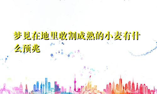 梦见在地里收割成熟的小麦有什么预兆