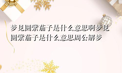 梦见圆紫茄子是什么意思啊梦见圆紫茄子是什么意思周公解梦