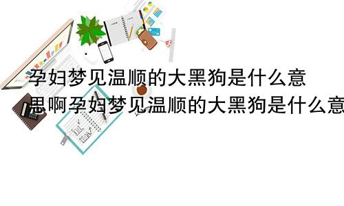 孕妇梦见温顺的大黑狗是什么意思啊孕妇梦见温顺的大黑狗是什么意思呀