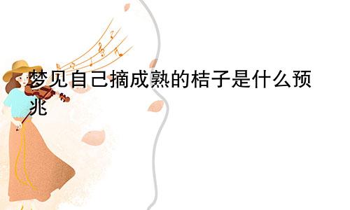 梦见自己摘成熟的桔子是什么预兆