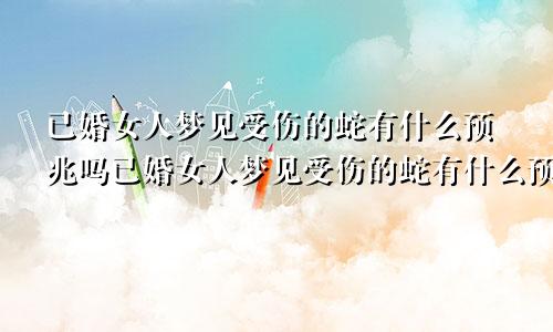 已婚女人梦见受伤的蛇有什么预兆吗已婚女人梦见受伤的蛇有什么预兆解梦