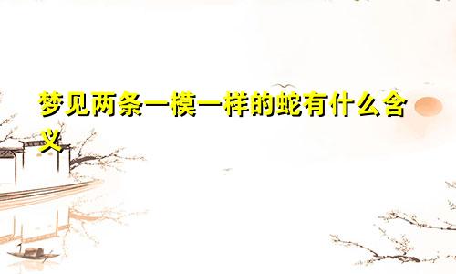 梦见两条一模一样的蛇有什么含义