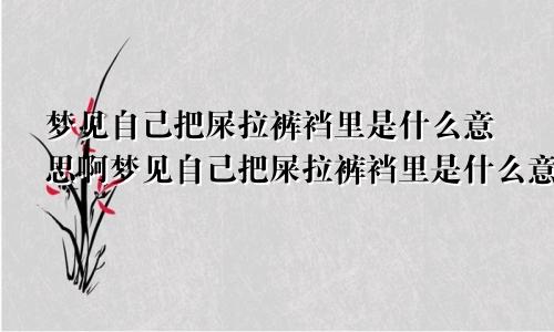 梦见自己把屎拉裤裆里是什么意思啊梦见自己把屎拉裤裆里是什么意思呀