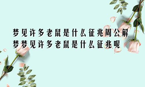 梦见许多老鼠是什么征兆周公解梦梦见许多老鼠是什么征兆呢