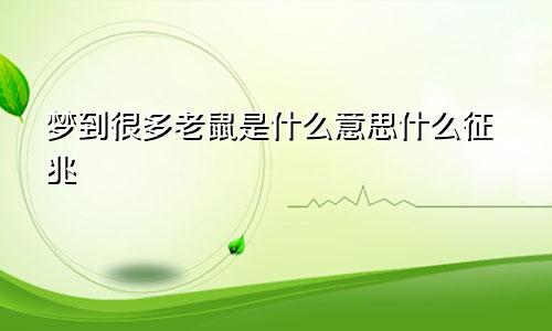 梦到很多老鼠是什么意思什么征兆