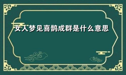 女人梦见喜鹊成群是什么意思