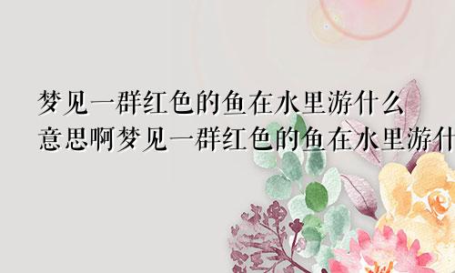 梦见一群红色的鱼在水里游什么意思啊梦见一群红色的鱼在水里游什么意思呀