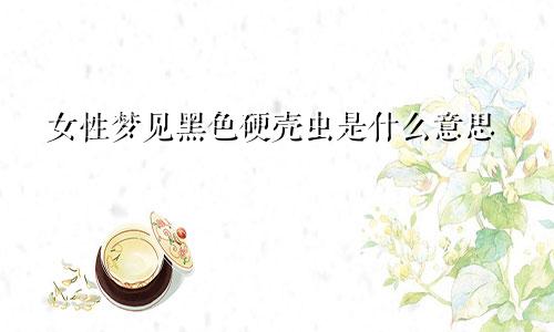 女性梦见黑色硬壳虫是什么意思