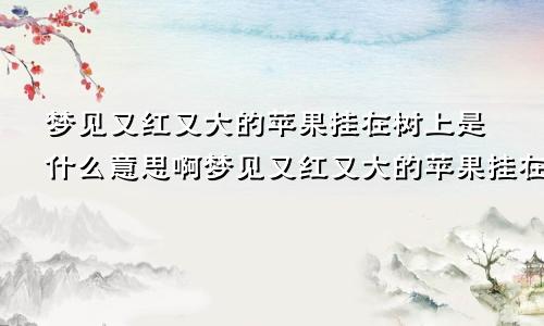 梦见又红又大的苹果挂在树上是什么意思啊梦见又红又大的苹果挂在树上解梦