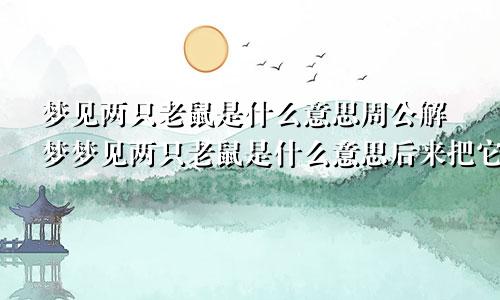 梦见两只老鼠是什么意思周公解梦梦见两只老鼠是什么意思后来把它抓住