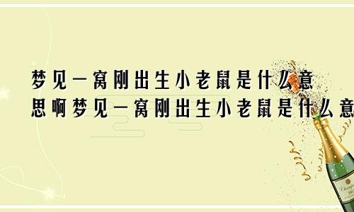 梦见一窝刚出生小老鼠是什么意思啊梦见一窝刚出生小老鼠是什么意思呀