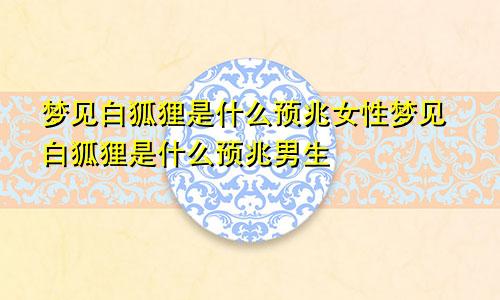 梦见白狐狸是什么预兆女性梦见白狐狸是什么预兆男生