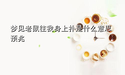 梦见老鼠往我身上扑是什么意思预兆