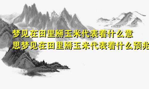 梦见在田里掰玉米代表着什么意思梦见在田里掰玉米代表着什么预兆