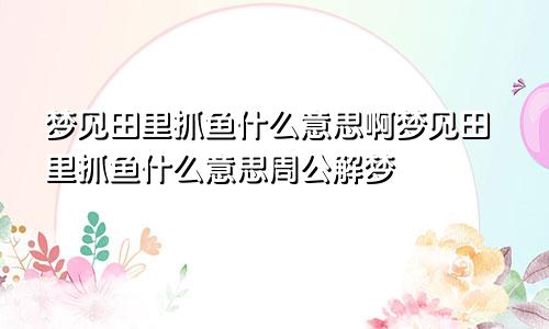 梦见田里抓鱼什么意思啊梦见田里抓鱼什么意思周公解梦