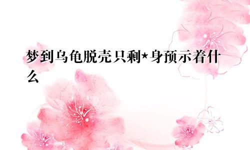 梦到乌龟脱壳只剩*身预示着什么