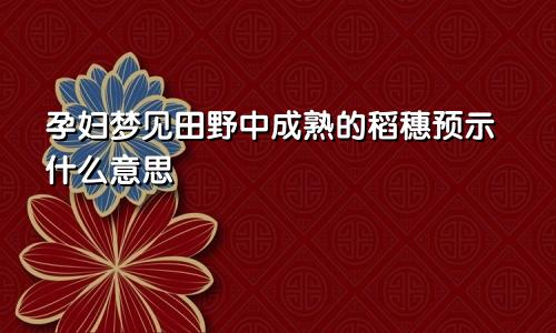 孕妇梦见田野中成熟的稻穗预示什么意思