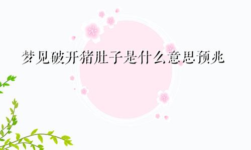 梦见破开猪肚子是什么意思预兆