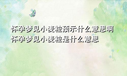 怀孕梦见小麦粒预示什么意思啊怀孕梦见小麦粒是什么意思