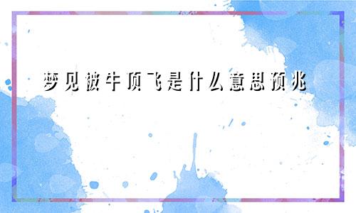 梦见被牛顶飞是什么意思预兆