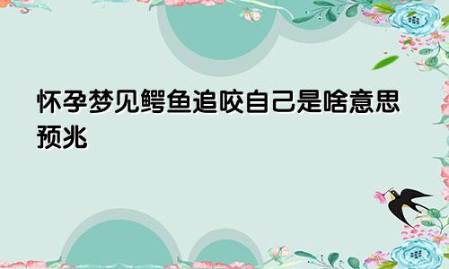 怀孕梦见鳄鱼追咬自己是啥意思预兆