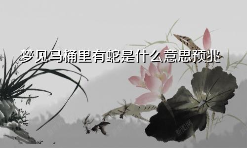 梦见马桶里有蛇是什么意思预兆