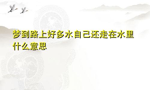 梦到路上好多水自己还走在水里什么意思