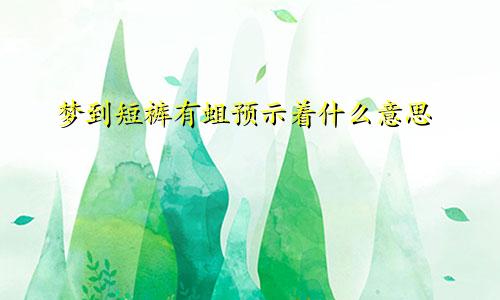 梦到短裤有蛆预示着什么意思