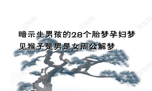 暗示生男孩的28个胎梦孕妇梦见猴子是男是女周公解梦