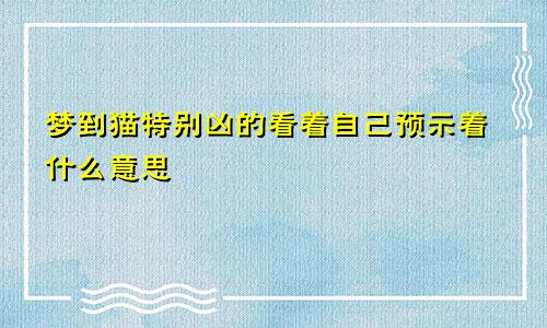 梦到猫特别凶的看着自己预示着什么意思