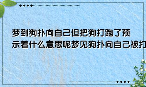 梦到狗扑向自己但把狗打跑了预示着什么意思呢梦见狗扑向自己被打回去了