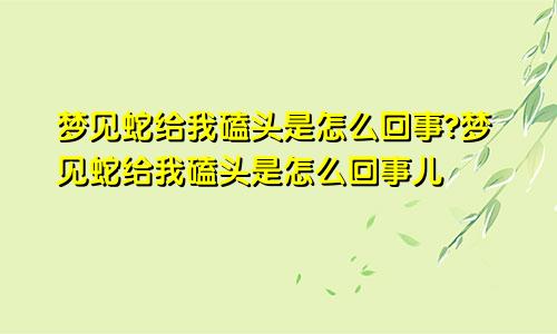 梦见蛇给我磕头是怎么回事?梦见蛇给我磕头是怎么回事儿