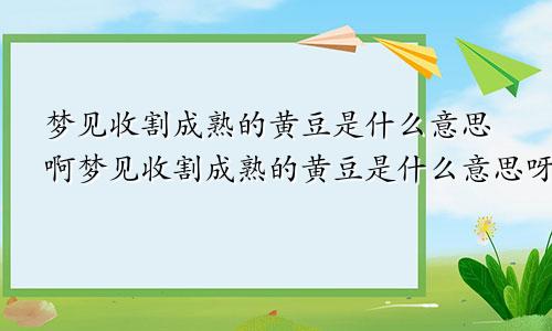 梦见收割成熟的黄豆是什么意思啊梦见收割成熟的黄豆是什么意思呀