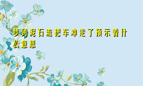 梦到泥石流把车冲走了预示着什么意思