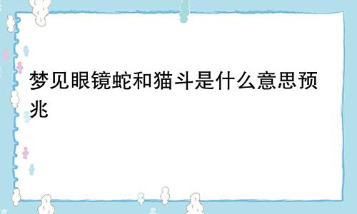 梦见眼镜蛇和猫斗是什么意思预兆